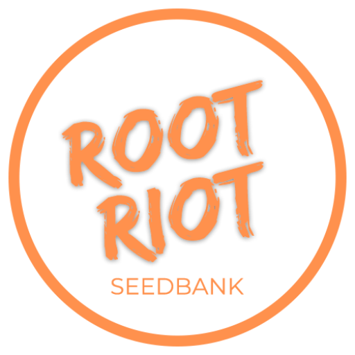 POTS & BEDS - ROOT RIOT